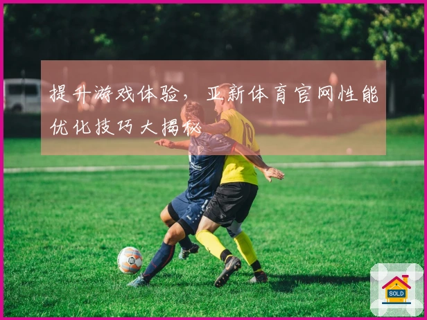 提升游戏体验，亚新体育官网性能优化技巧大揭秘