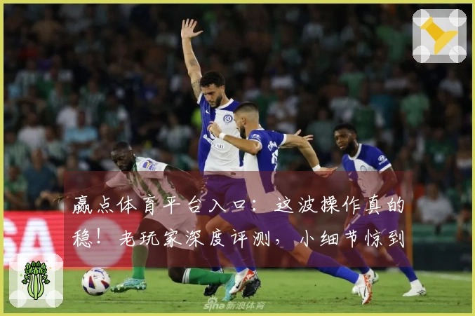 赢点体育平台入口：这波操作真的稳！老玩家深度评测，小细节惊到我了