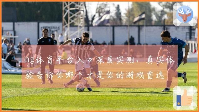 ng体育平台入口深度实测，真实体验告诉你哪个才是你的游戏首选