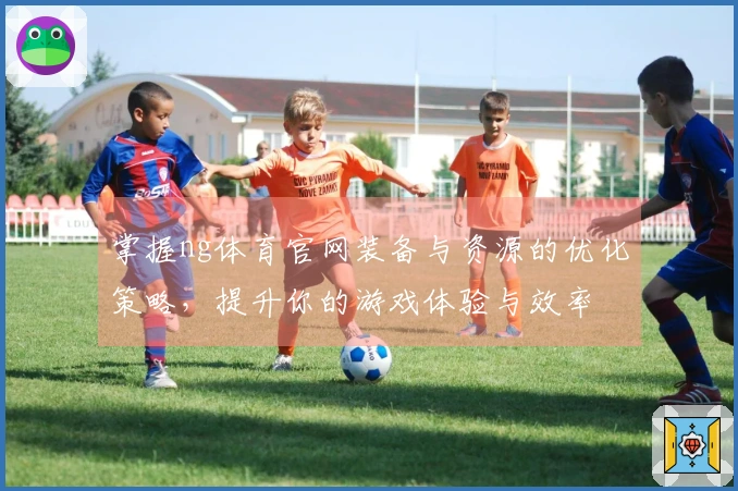 掌握ng体育官网装备与资源的优化策略，提升你的游戏体验与效率